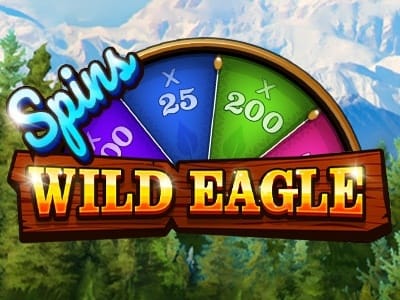 Wild Eagle game cover
