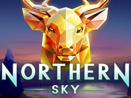 Northern Sky game cover