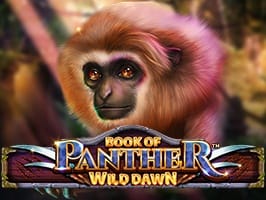 Book of Panther Wild Dawn game cover
